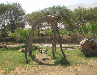 Baby swing made of wood on Hari
                                Krishna farm "Eco Truly" in
                                Lluta Valley near Arica in Chile
