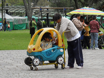 Toddler running a go-cart 01 pushed
                                by parents, in Ejido Park in Quito in
                                Ecuador