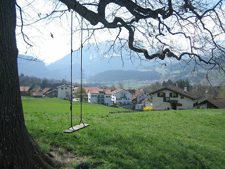 Swing on the tree with half-shade, and
                            when the tree is with leaves the position is
                            also half safe against rain, without
                            location