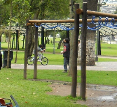 Climbing 17: devices for climbing
                              hand over hand, with water on the ground,
                              Ejido Park in Quito, Ecuador