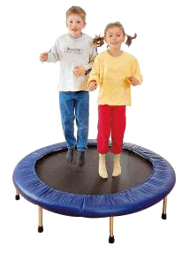 Trampoline 08: round
                            trampoline with covered spiral springs with
                            a diameter of 1 meter: Sport TEC, Germany