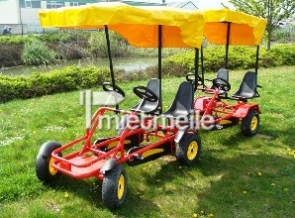 Drive a go-cart 18, go-card with
                            trailer and roof, web site Mietmeile.de,
                            Germany