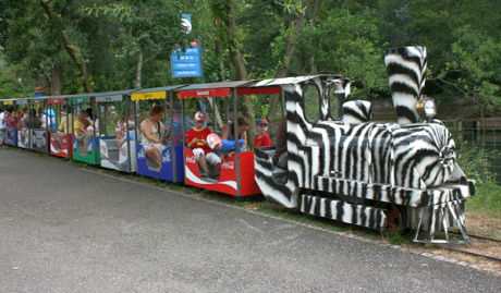 Park
                            train 01 in the amusement park
                            "Seeteufel" ("Lake's
                            Devil") in Studen near Bienne, canton
                            of Berne, Switzerland
