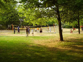 Volleyball on a law
                              in the Dammweg Park in Berlin-Neukoelln