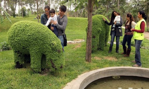 Escultura de seto de animal en el
                            parque Sinchi Roca 03, hipoptamos (hipos),
                            Lima, Per