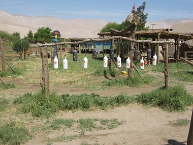 Xilfono de botellas 02 en la
                                    granja de Hari Krishna "Eco
                                    Truly" en el valle Lluta cerca
                                    de Arica en Chile
