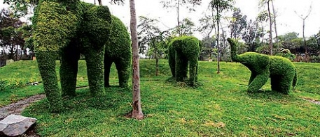 Tierplastiken aus
                                Hecken, Elefanten 01, Sinchi-Roca-Park
                                (parque Sinchi Roca), Lima