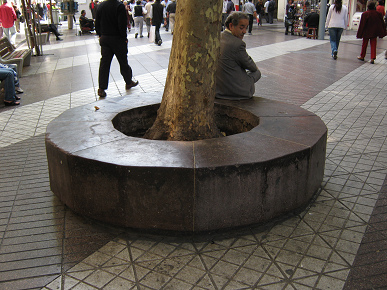 Baumschutz 01: Sitzbank um einen Baum
                            in Santiago in Chile in der Innenstadt