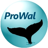 ProWal, Logo