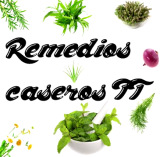 Remedios caseros TT online, Logo