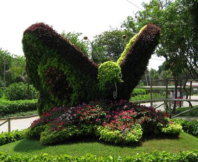 Animal sculpture made of hedges,
                              butterfly 03, front with proboscis in the
                              Legend Park (parque de las Leyendas),
                              Lima, Peru