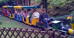 Park train 09 in
                            Ibbenbueren 02 running