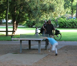 Spielplatz unter grossen
                                    B�umen, Sch�tzenmattpark, Basel