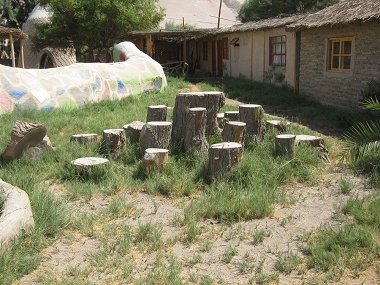 Pollerspringen 01 auf der
                              Hari-Krishna-Farm "Eco Truly" im
                              Lluta-Tal bei Arica, Chile