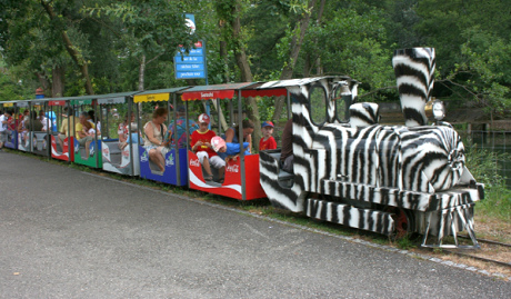 Parkeisenbahn 01 im Park
                              "Seeteufel" in Studen bei Biel,
                              Kanton Bern, Schweiz